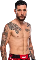 Luis Pajuelo