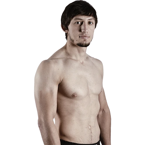 Abubakar Mestoev