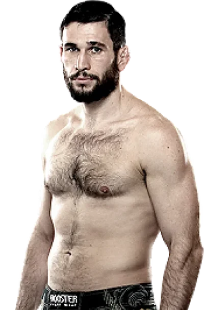 Amir Sadollah