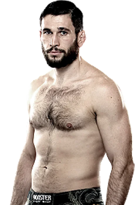 Amir Sadollah