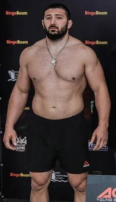 Davit Modzmanshvili