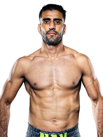 Navid Mansouri