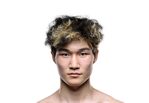 Hong Chengzhi