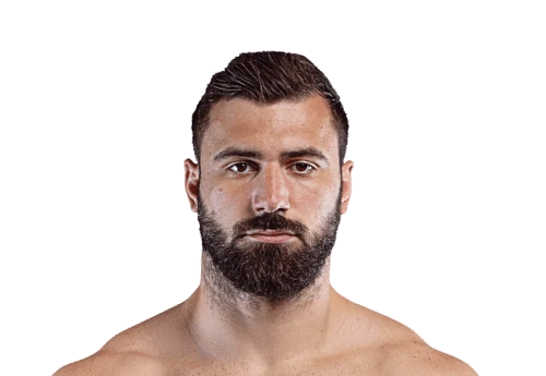 Andrei Stoica