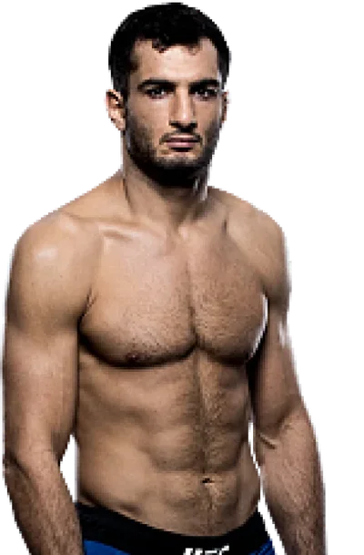 Gegard Mousasi