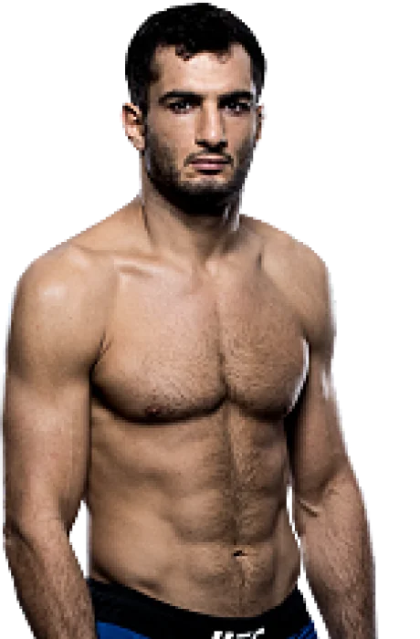 Gegard Mousasi