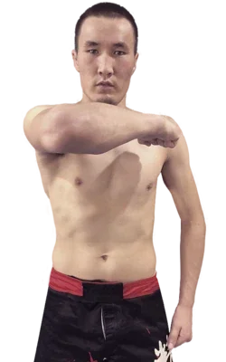 Jiayidaer Aili