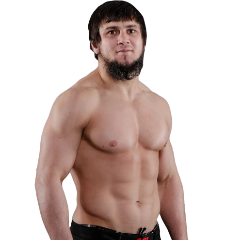 Ali Bagov