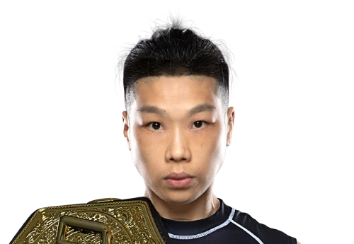 Xiong Jing Nan