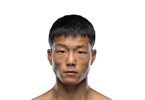 Wang Kaifeng