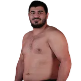 Ruslan Medzhidov