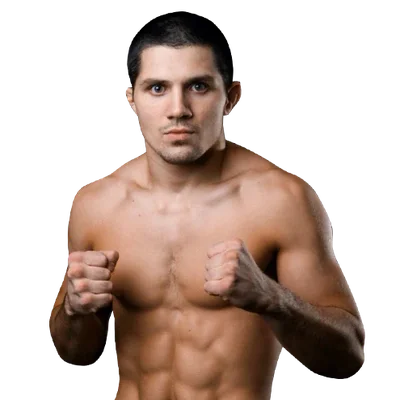 Timur Nagibin