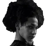 Max Silveira