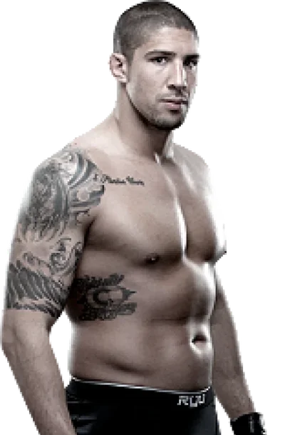 Brendan Schaub