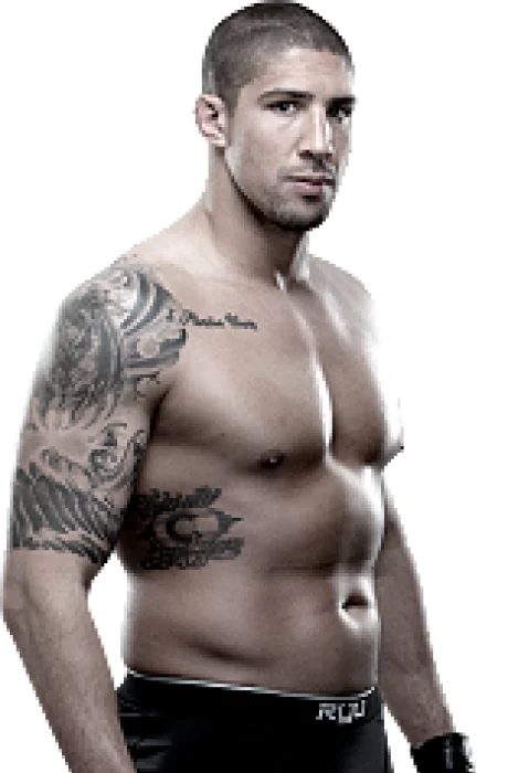 Brendan Schaub