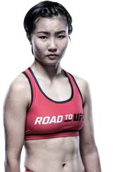 Feng Xiaocan