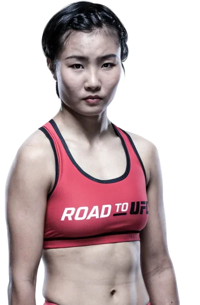 Feng Xiaocan