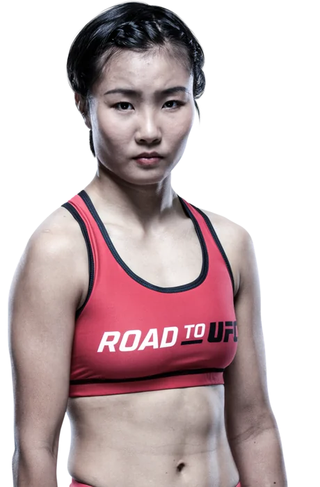 Feng Xiaocan