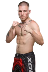 Daniel Veselý