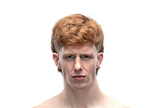 Jelte Blommaert