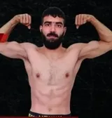 Seyedali Asli
