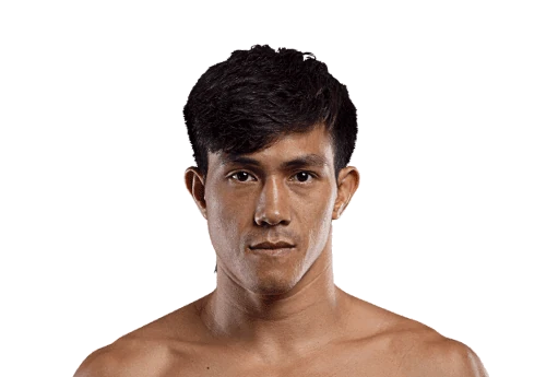 Nguyen Tran Duy Nhat