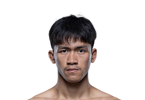 Mahesuan Aekmuangnon