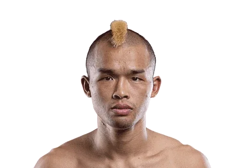 Wang Junguang