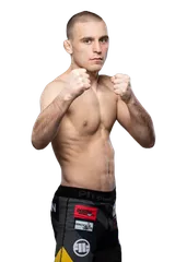 Roman Paulus