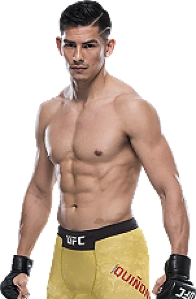 Michel Quinones