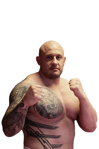 Donald Cosić