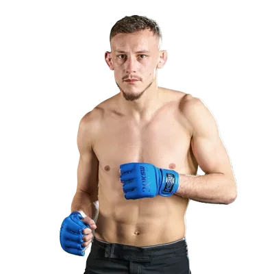 Alfan Rocher-Labes
