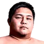 Hidetaka Arato