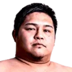 Hidetaka Arato