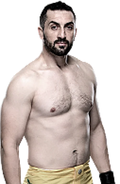 Vik Grujic