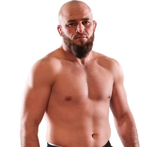 Adlan Ibragimov