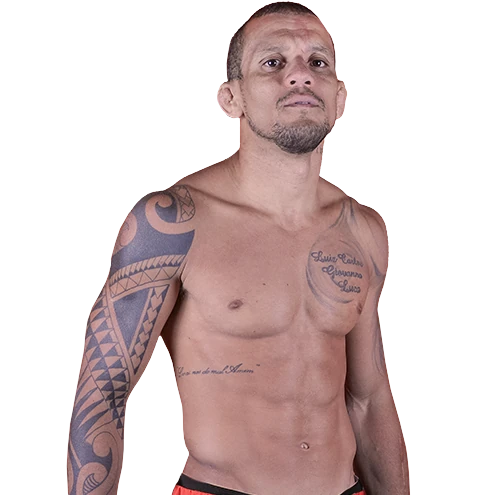 Thiago Luis Bonifacio Silva