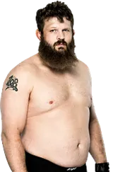 Roy Nelson