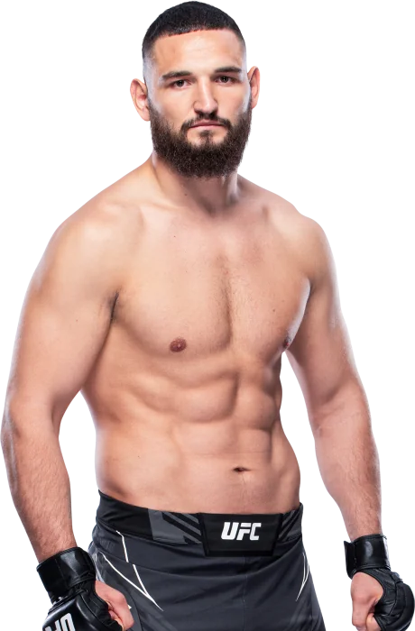 Nicolae Negumereanu