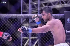 Punyajit Likharu
