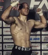 Aleksandar Mihailović