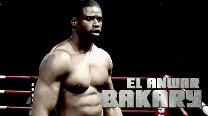 Bakary El Anwar