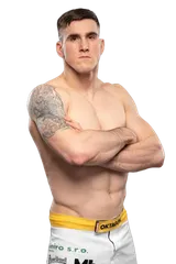 David Hošek