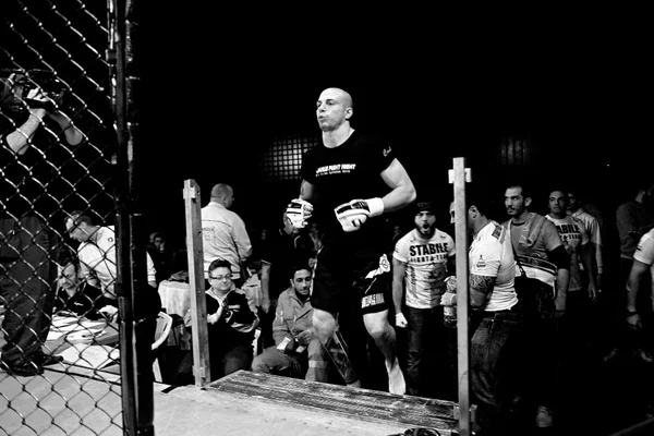 Luca Vitali