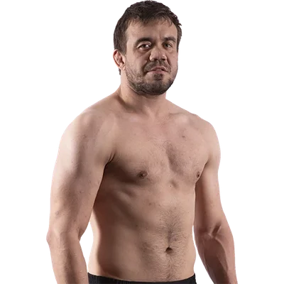 Vladimir Fedin