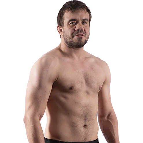 Vladimir Fedin