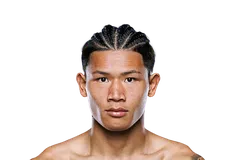 Yuan Pengjie