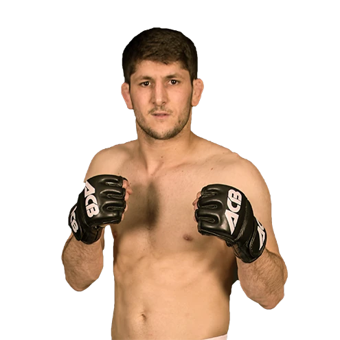 Khamid Sultanbiev