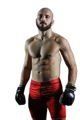 Stefano Paternò