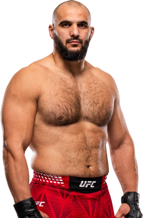 Javad Mahjoub